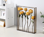 Cosmetic Display Stands