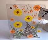 Cosmetic Display Stands